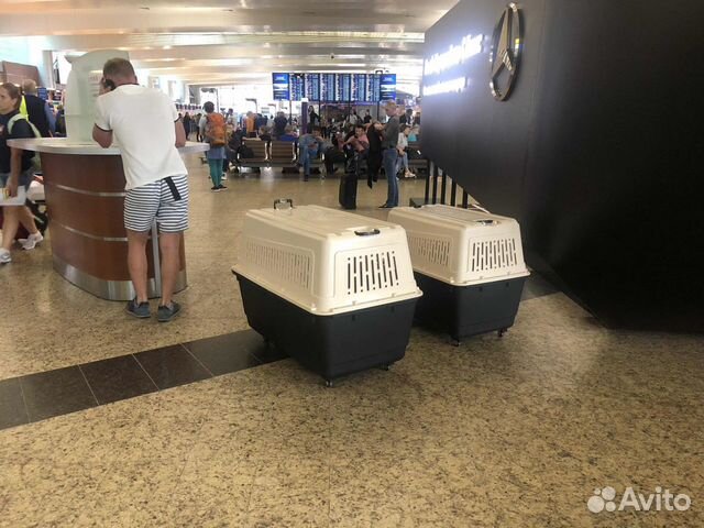 Переноска для собак в самолет