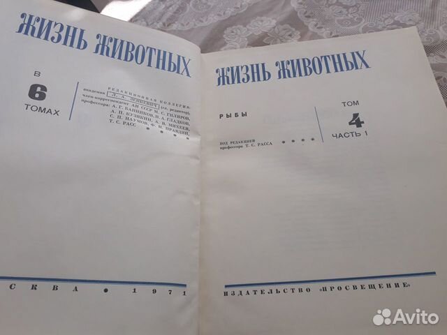 Жизнь животных