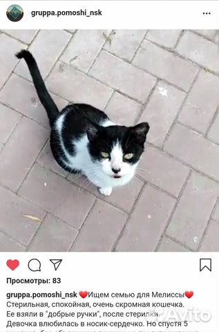 Ищет дом