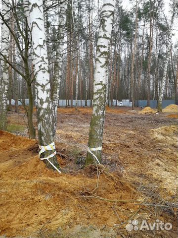 Разнорабочий-строитель на дачный участок Разнорабочий-строитель на дачный участок