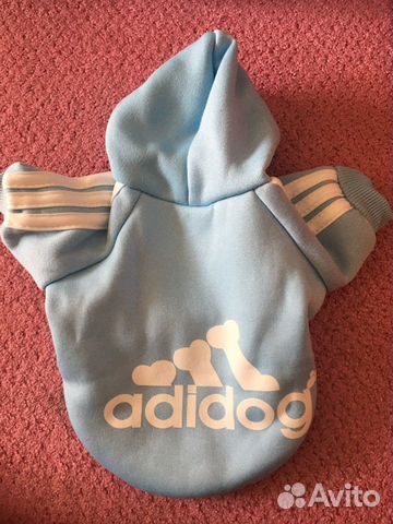 Одежда для собак