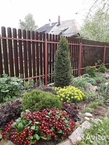 Садовые растения