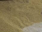 Пшеница и ячмень 25-30 тонн объявление продам