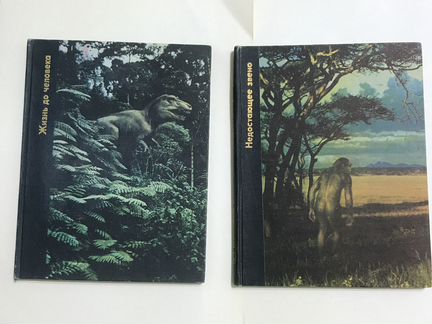 Книга Возникновение человека