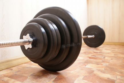 Штанга 83.3 кг (2x15/2x10/4x5/2x2.5), прямой гриф