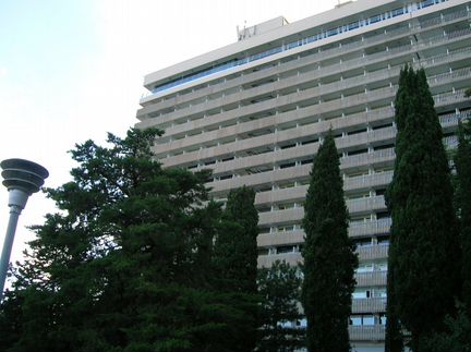 Хвойное растение кипарис пирамидальный