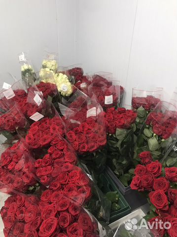 Розы красные. Розы белые. С теплиц. Оптовые цены