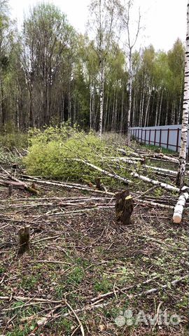 Расчистка участков,удаление деревьев,покос травы