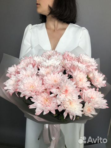 Хризантемы Доставка
