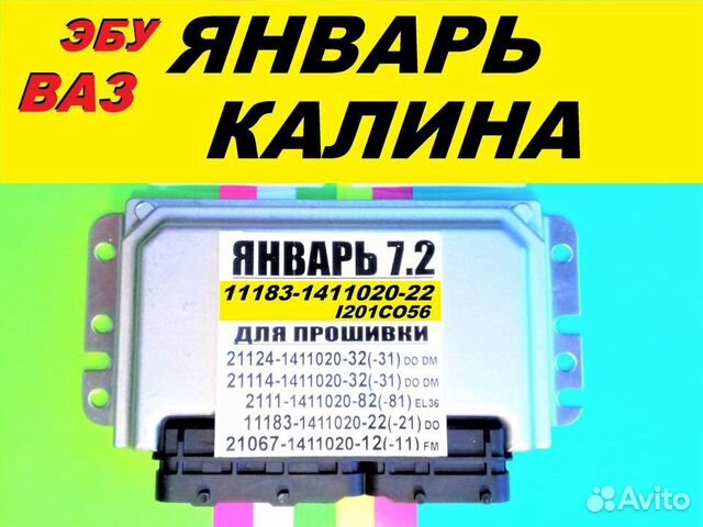 Мозги калина 1 8кл