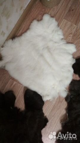 Шкурки кролика