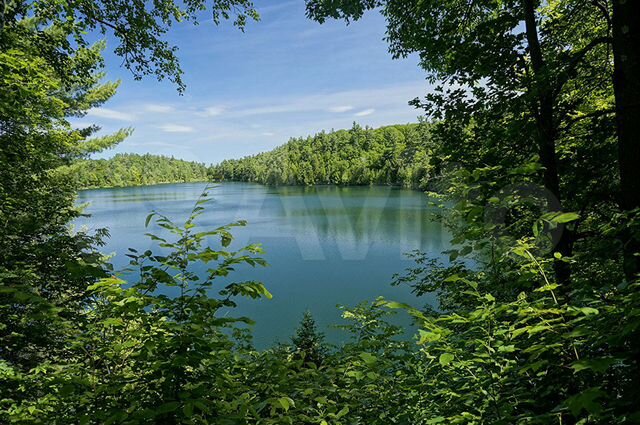 Участок 8 сот. (ИЖС)