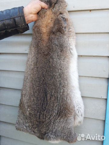 Шкурка кролика