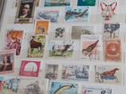 Почтовые марки СССР 600 штук объявление продам
