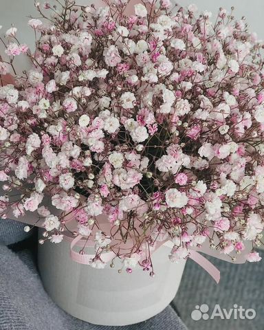 Гипсофила в коробке с доставкой