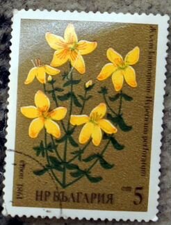 Марка Растение