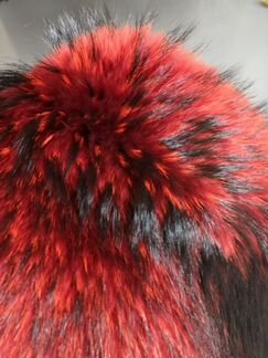 Енот финский крашеный