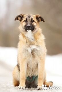 Девочка Йося- молоденькая и достаточно активная