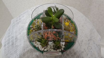 Оранжировка