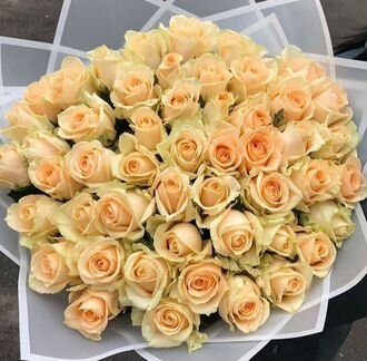 Цветы розы оптом и в розницу доставка