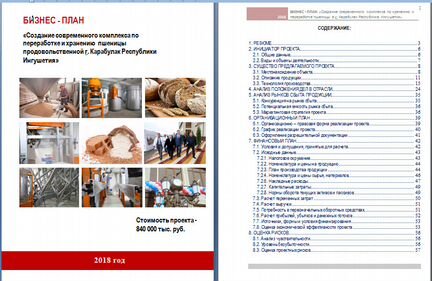 Разработка бизнес - плана с фин. моделью. тэо