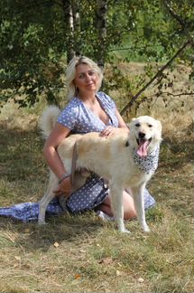 Славный пёс в дар