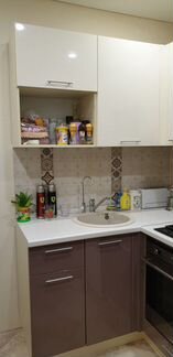 Кухня, с техникой, посудомоечной машиной и фильтро