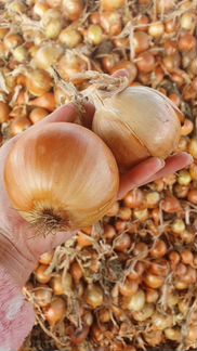 Деревенскии картофель