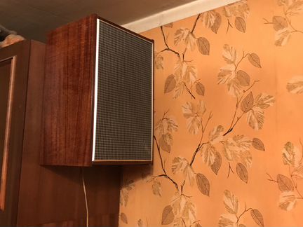 Акустической система 10 мас-1 М