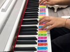 Наклейки для пианино /фортепиано /синтезатора