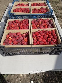 Деревенскии картофель