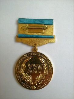 Медаль xxv лет сэв
