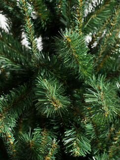 Ель сказака