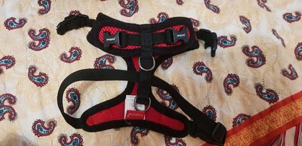 Лежанка +шлейка для щенка или маленькой собаки