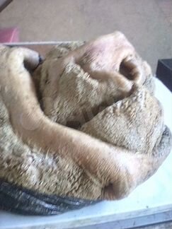 Мясопродукты для собак и кошек