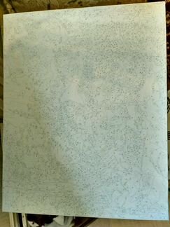 Картина по номерам, 40*50см