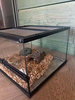 Террариум с оборудованием