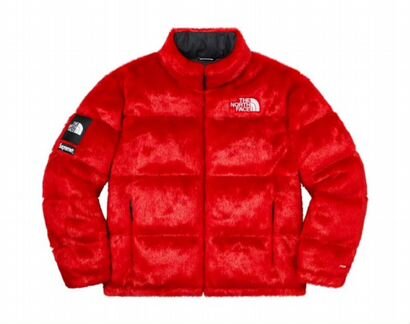 The North Face x Supreme