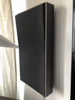 Bang & Olufsen Beovox P30