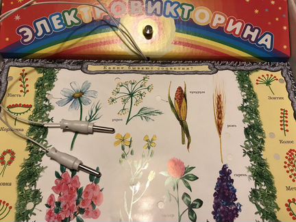 Электровикторина для детей 7-12 лет