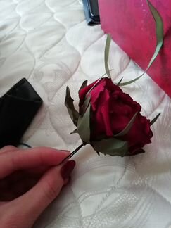 Новые украшения для волос роза(резинки, шпильки, п