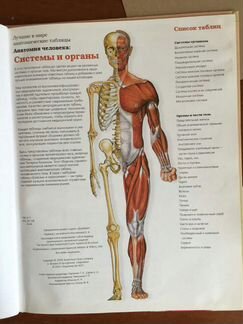 Анатомия и физиология книга